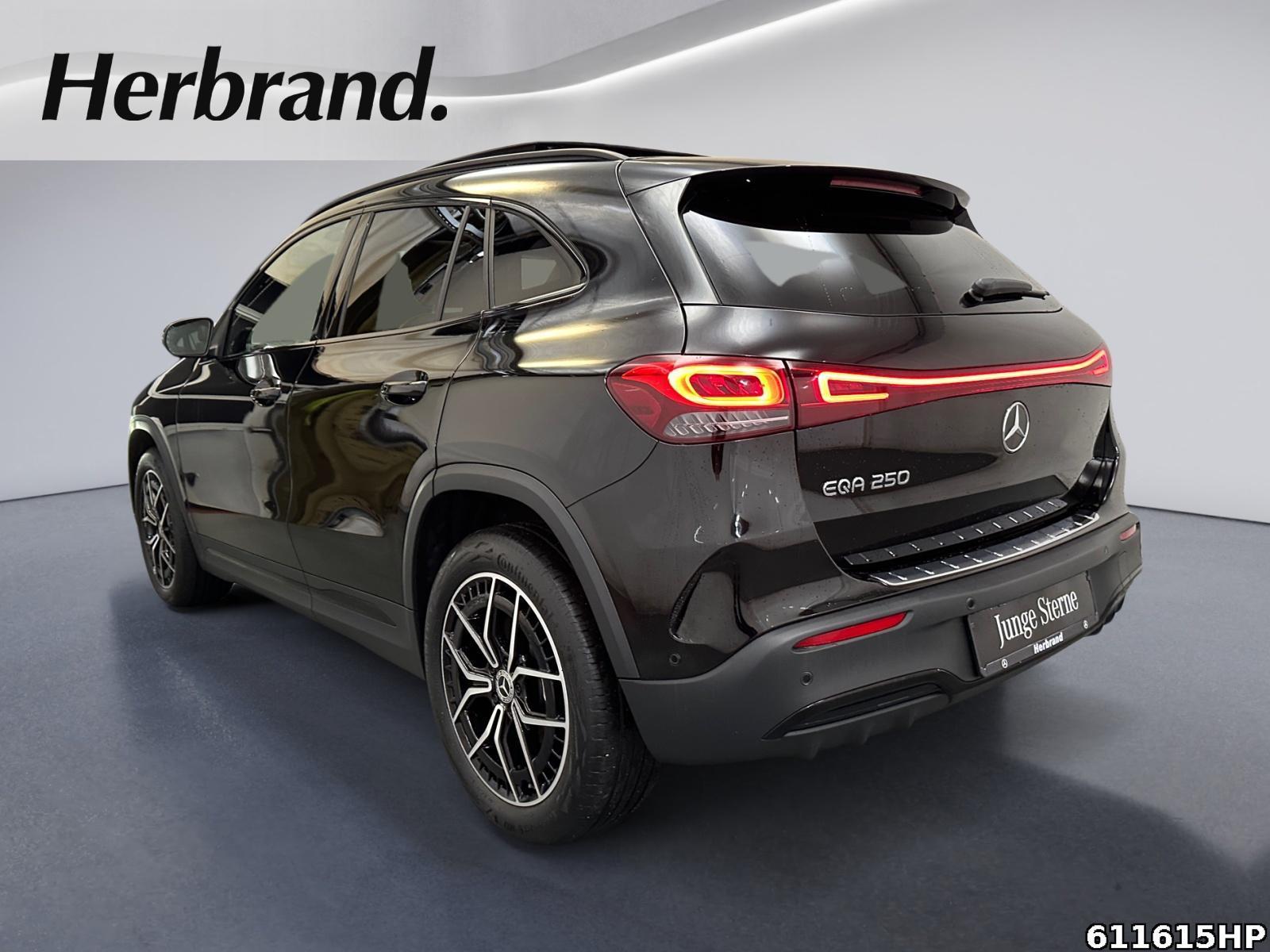 Fahrzeugabbildung Mercedes-Benz EQA AMG Night Pano 19