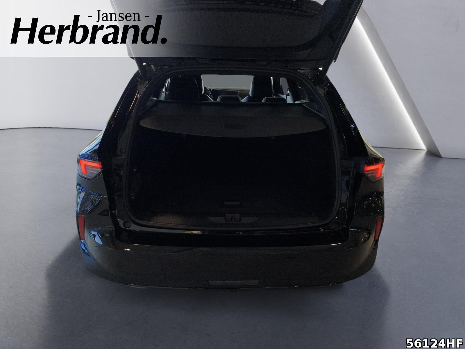 Fahrzeugabbildung Opel Astra ST GS 130 PS BlueHDi AT