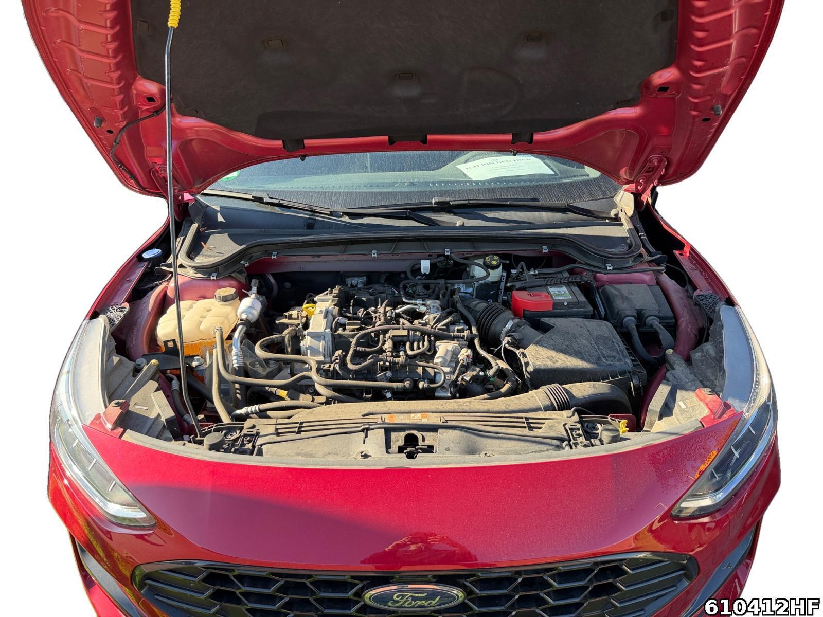 Fahrzeugabbildung Ford Focus ST-Line
